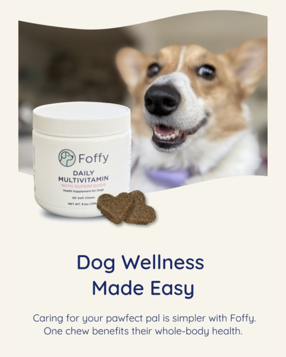 Foffy Daily Multivitamin for dogs with a dog in the background