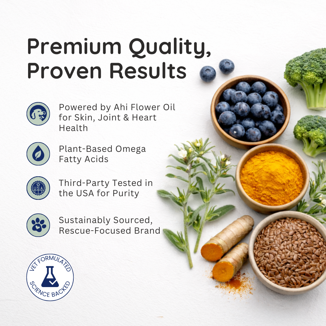 DAILY SUPERFOOD MULTIVITAMIN