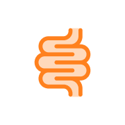 Gut & Energy